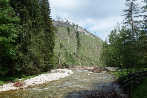 Kościeliski Potok