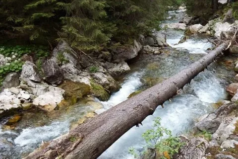 Kościeliski Potok