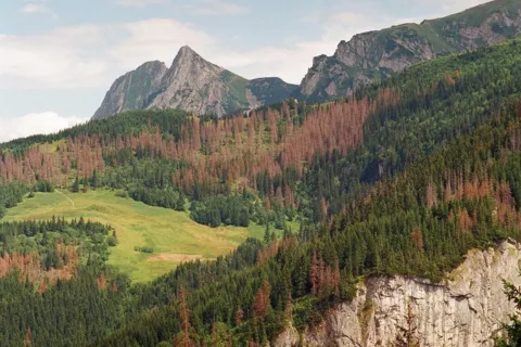 Polana pod Upłazy i Giewont z Polany na Stołach