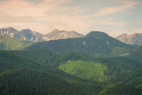Tatry Orawskie z Kościeliska. Na pierwszym planie Bobrowiec