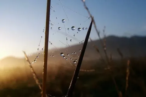 Poranek na Lipkach