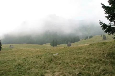 Polana kalatówki