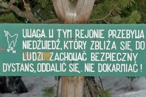 Magda z Doliny Roztoki