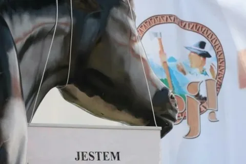 Jedyna tak dojna krowa [zobacz video i zdjęcia!]