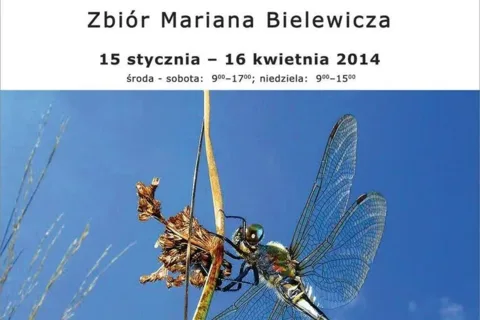 OWADY TATR I PODTATRZA