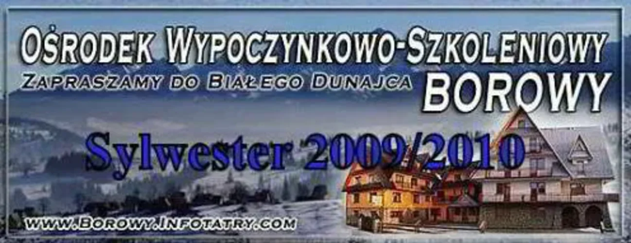 Centrum Szkoleniowo Wypoczynkowe "Borowy"