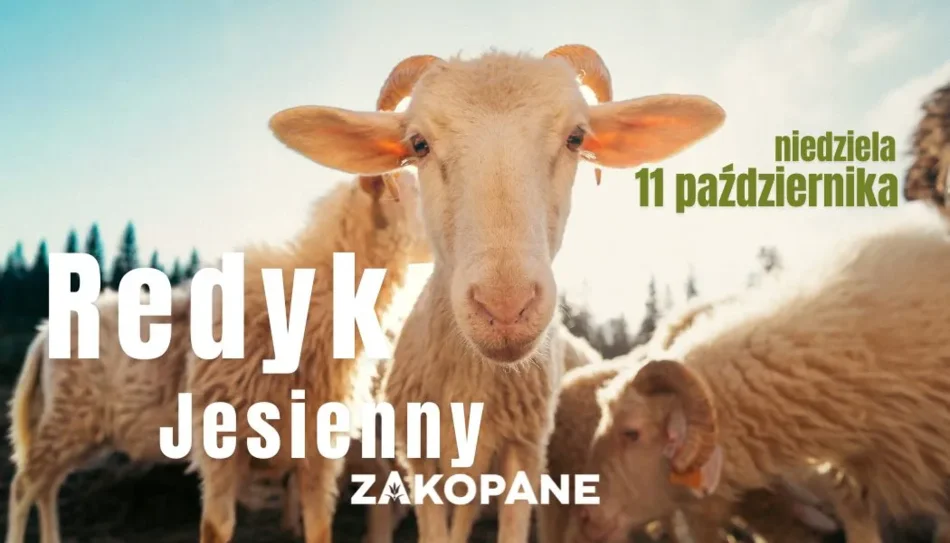 Redyk Jesienny 2026. Żywa tradycja Zakopanego.