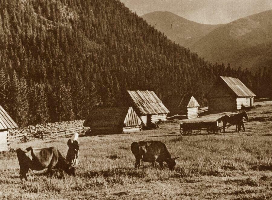 Zakopane i Tatry na starych fotografiach