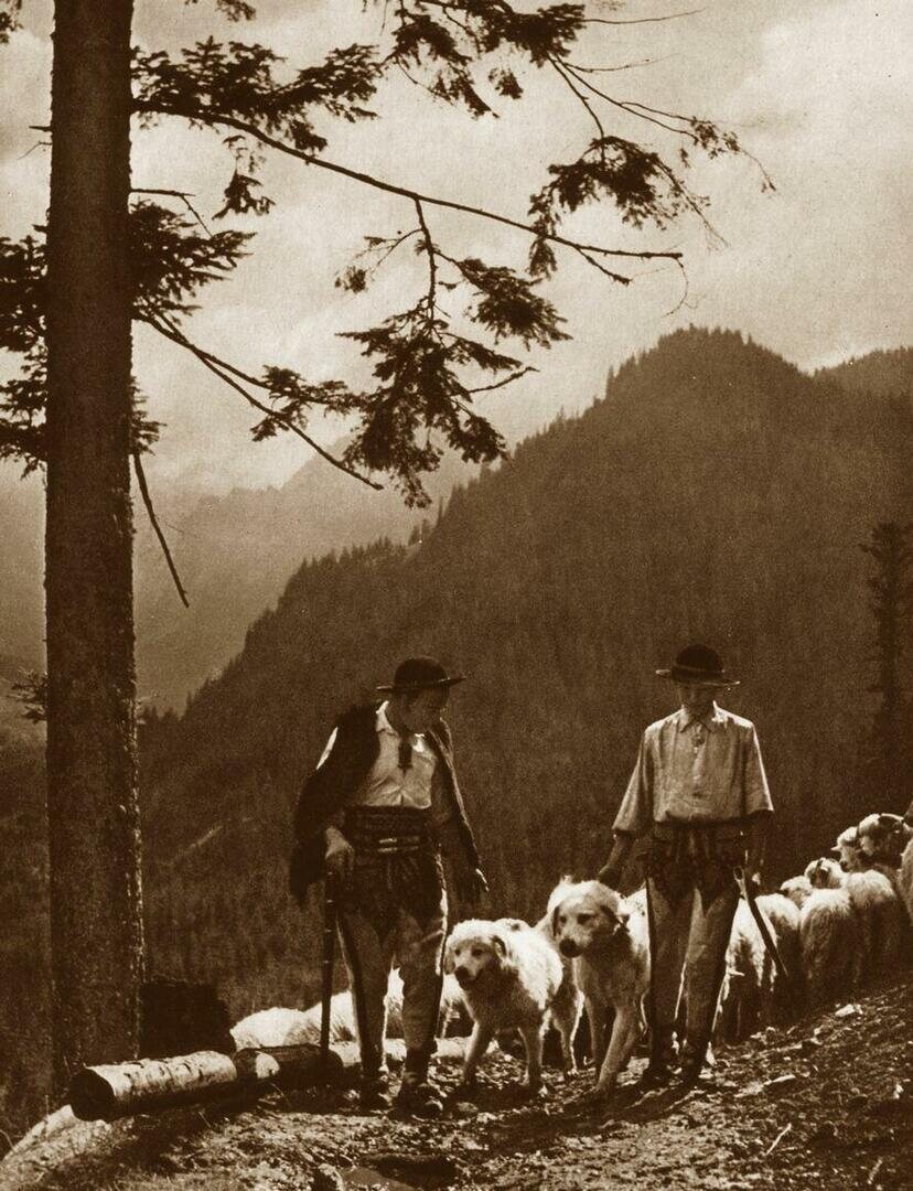 Zakopane i Tatry na starych fotografiach