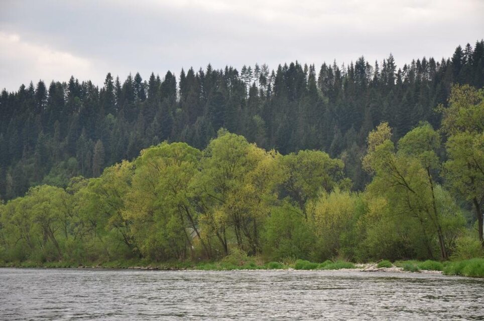 Czerwcowa wycieczka w Pieniny_4