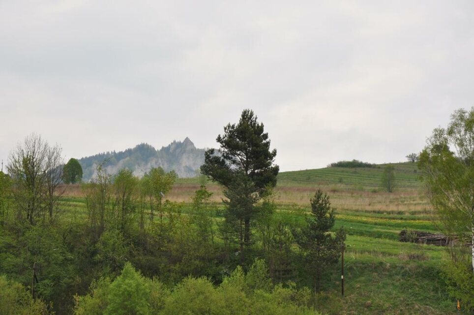 Czerwcowa wycieczka w Pieniny_6