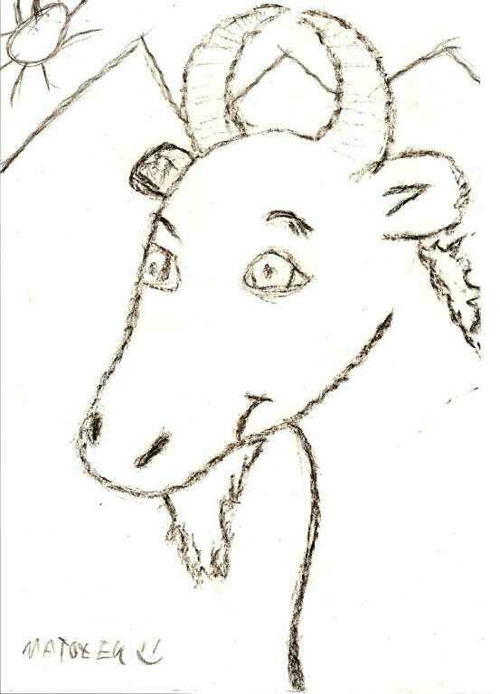 Koziołek Matołek _15