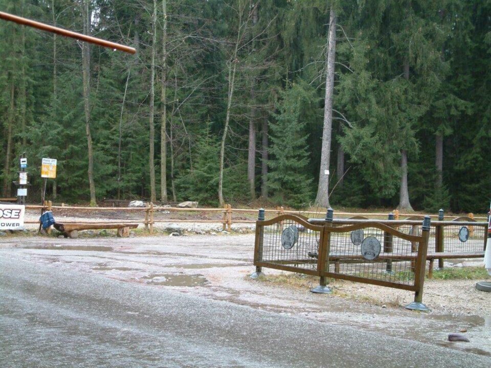 Zrywka drzewa w Chochołowskiej_22