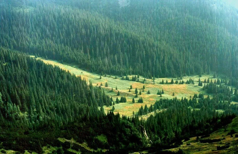 Dolina Tomanowa