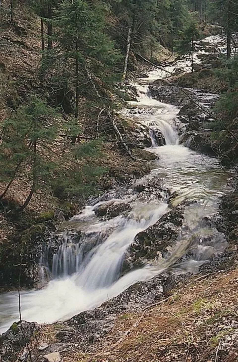 Strążyski Potok