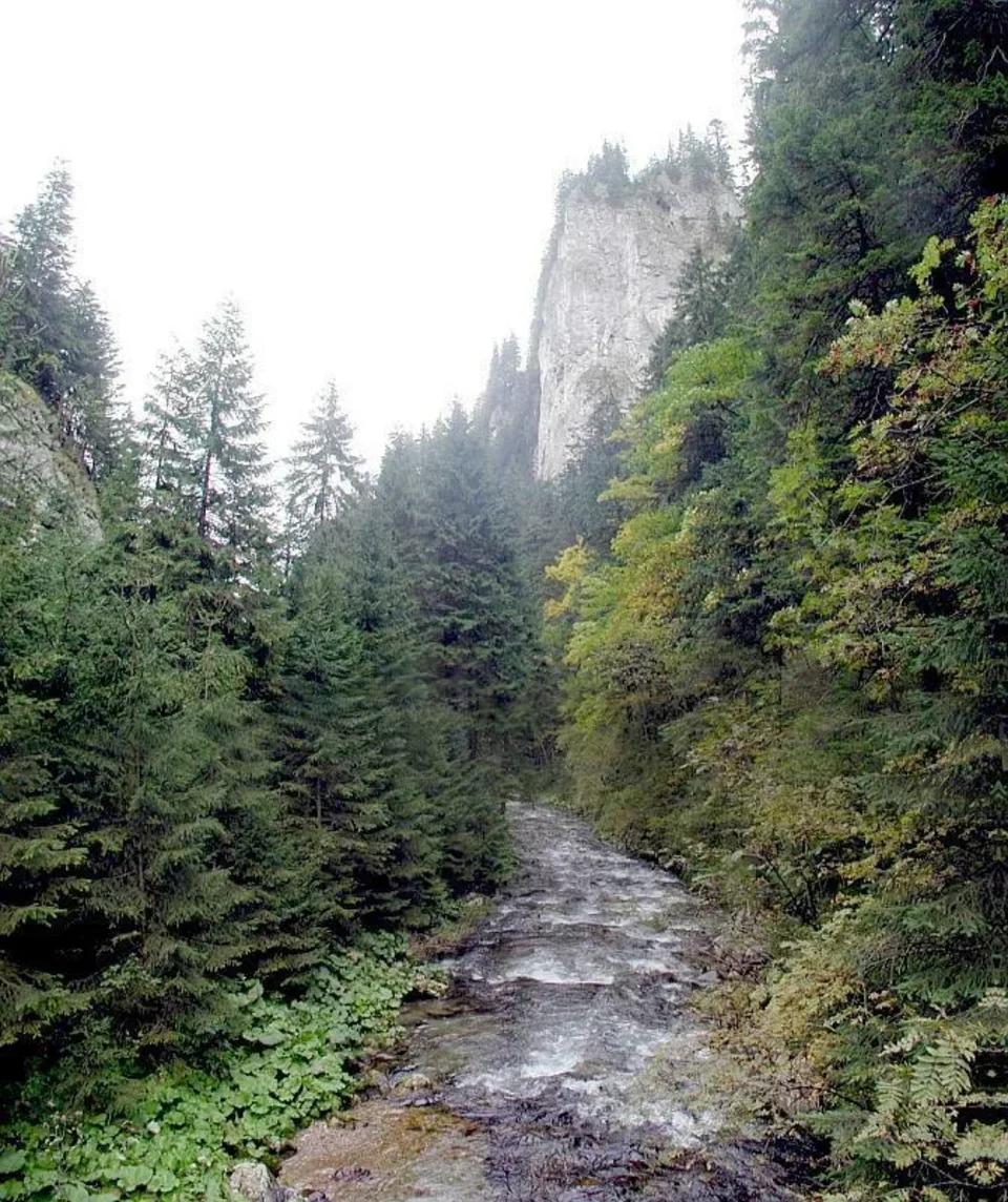 Potok Kościeliski