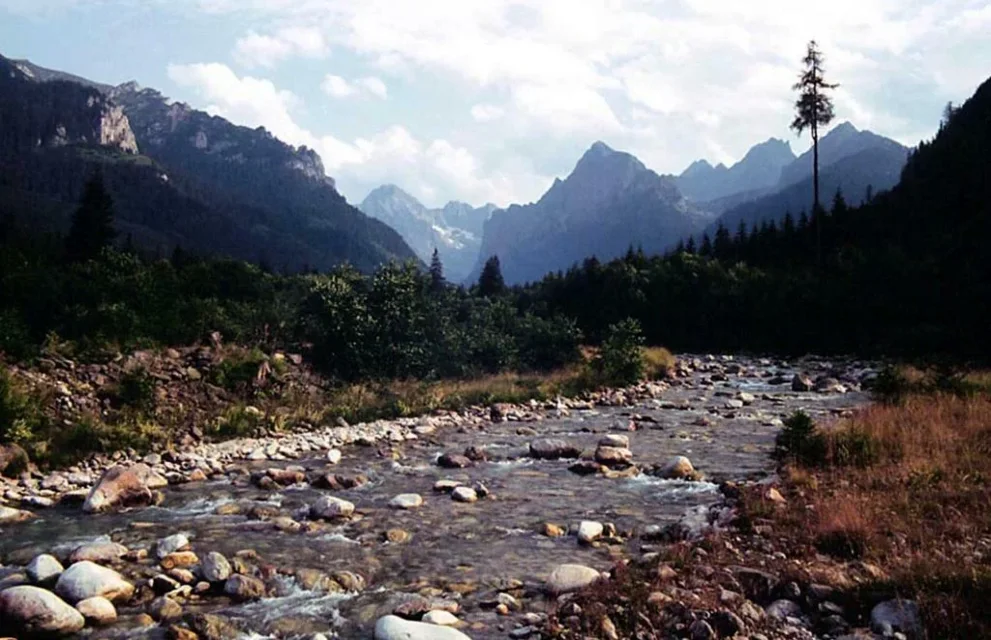 Tatry znad Białej Wody