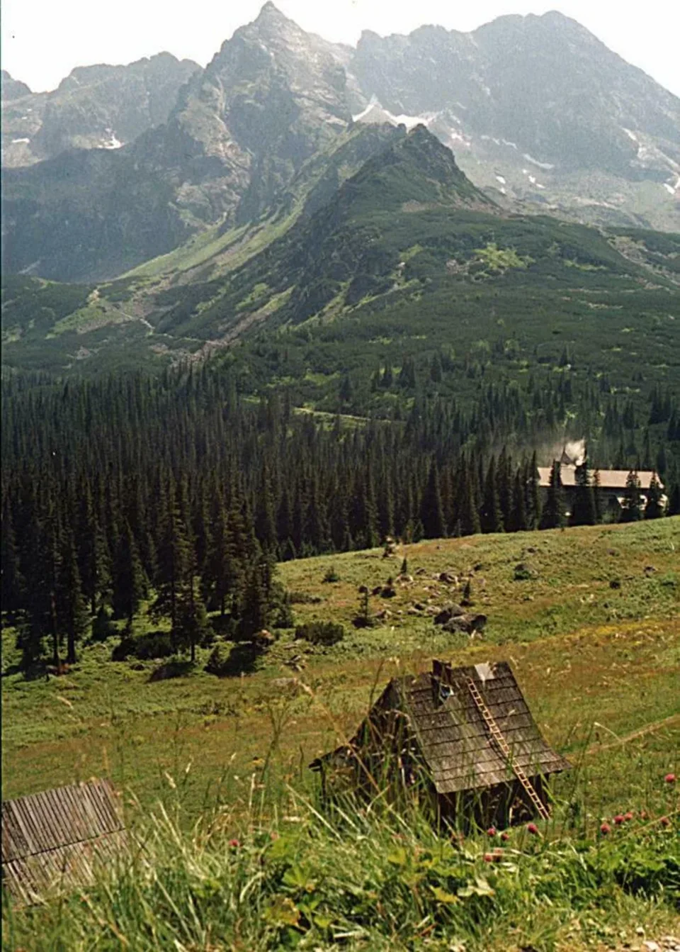 Hala Królowa wyżnia