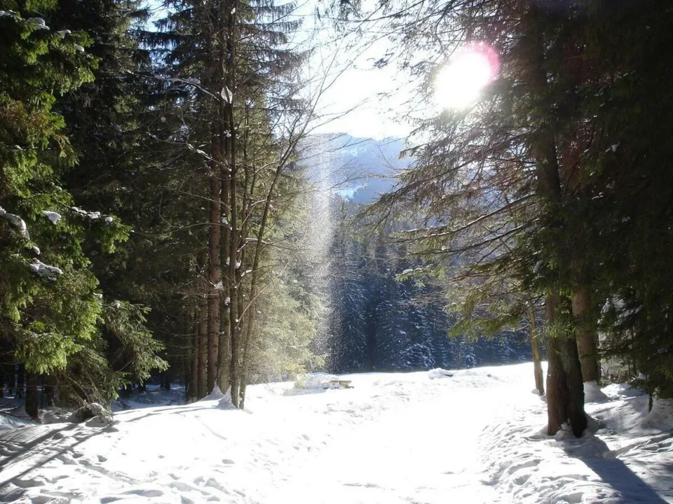 Zima II