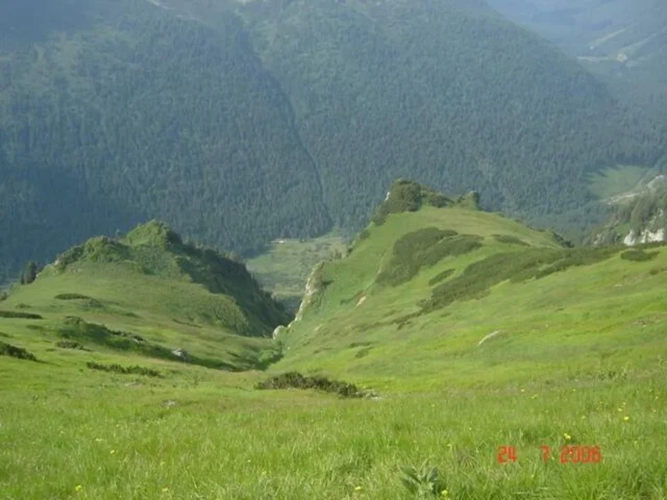 Dolina Cicha - widok z Czerwonych Wierchów