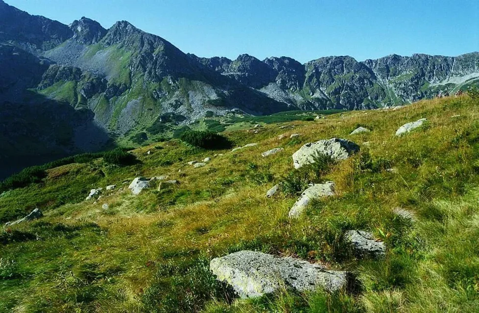 Dolina Pięciu...