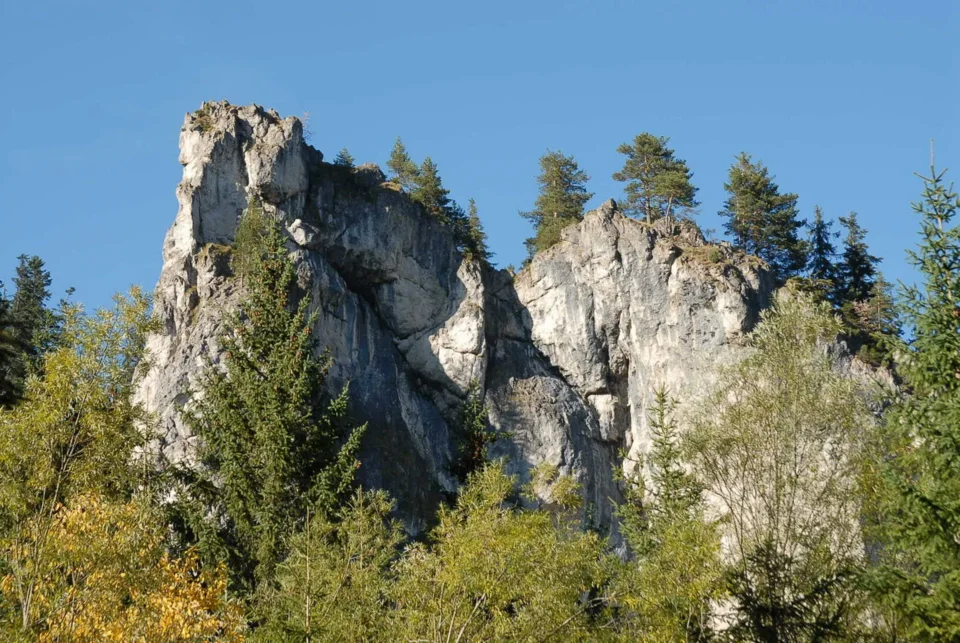 Dolina Chochołowska