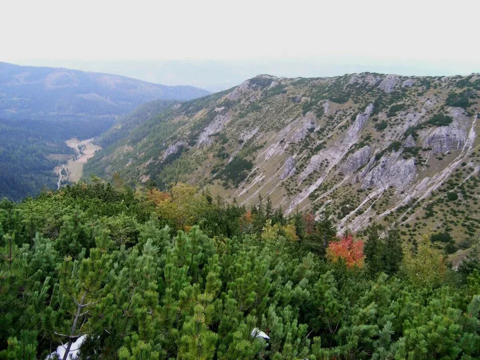 Dolina Jaworzynka