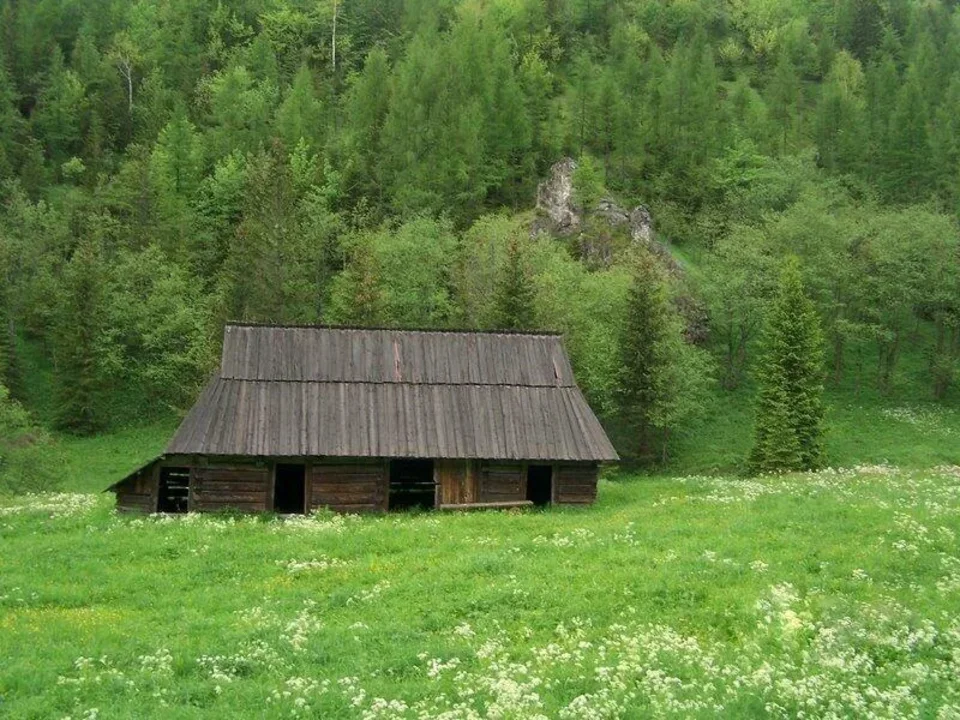 W Dolinie Jaworzynki