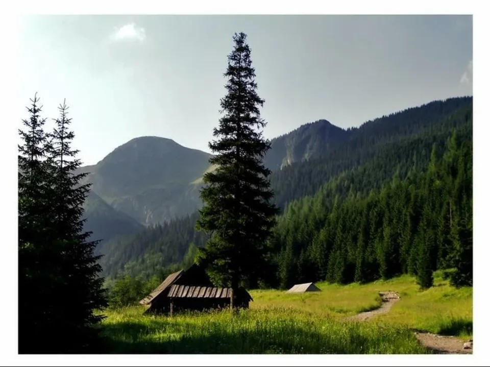 dolina...