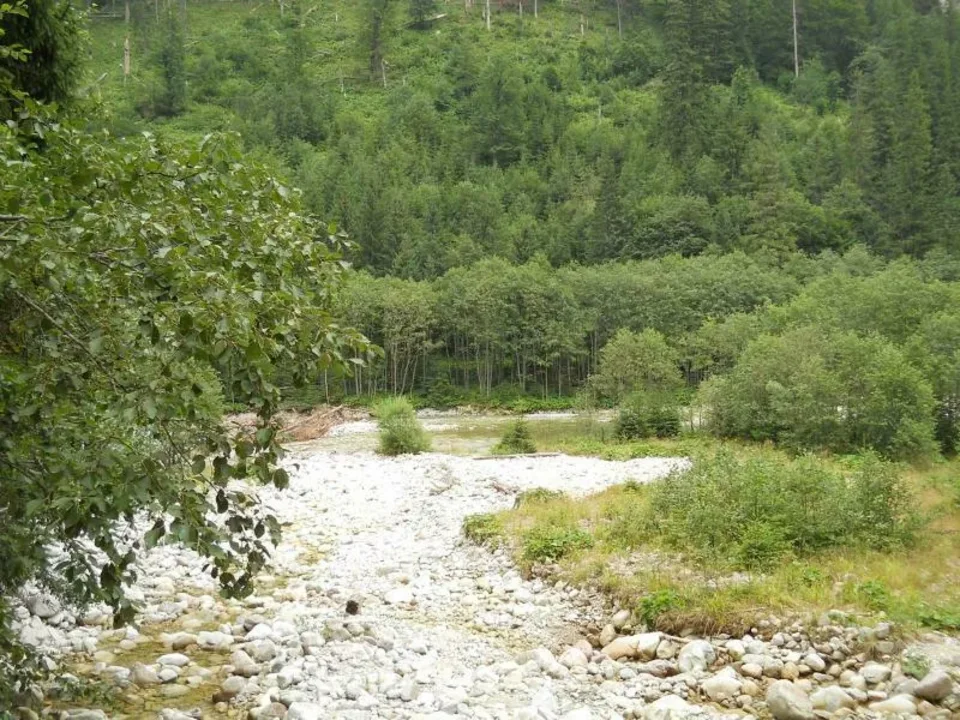 Dolina Rybiego Potoku