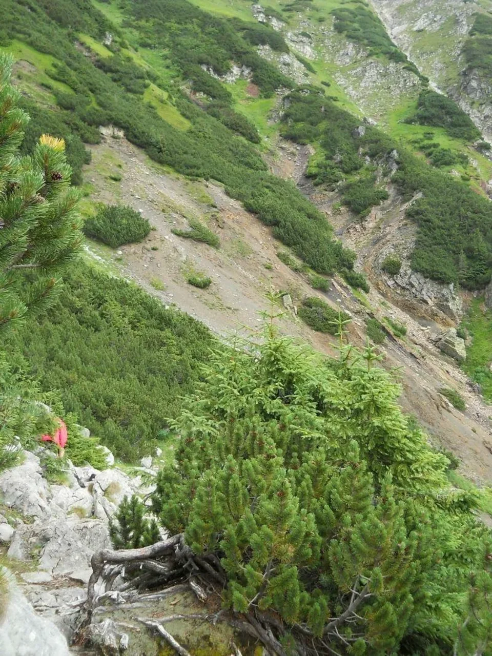 Dolina Tomanowa