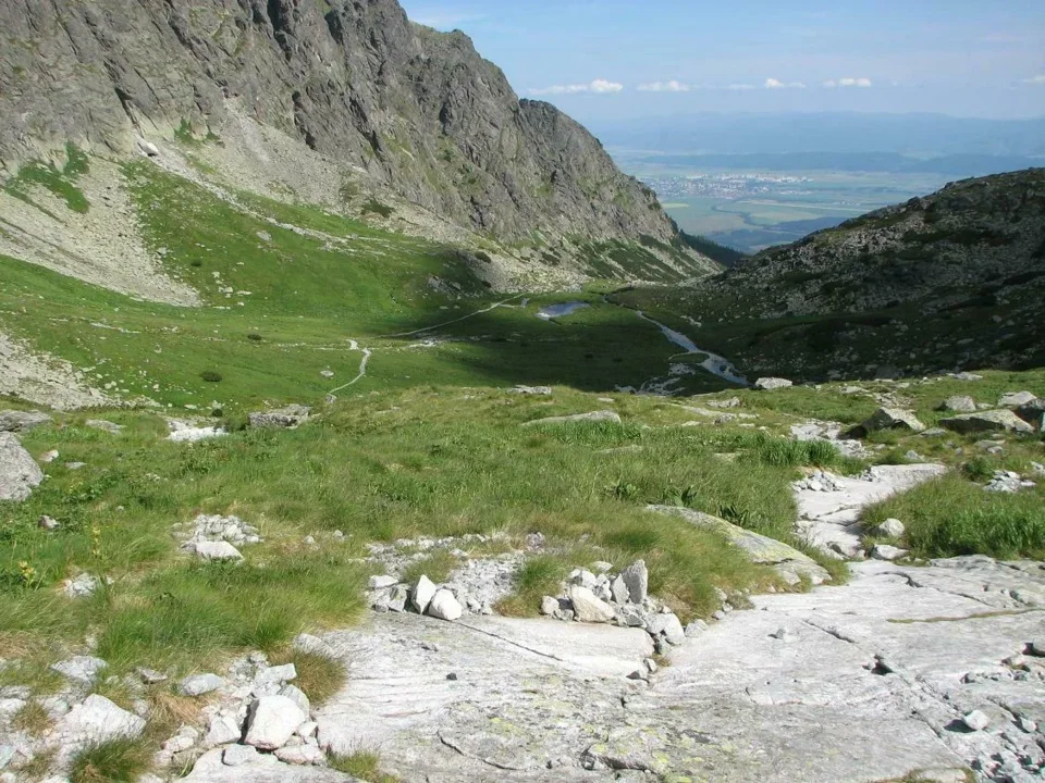 Wielicki Ogród