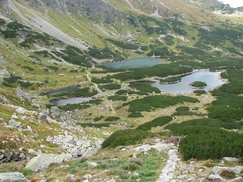 Zielona Dolina Gąsienicowa