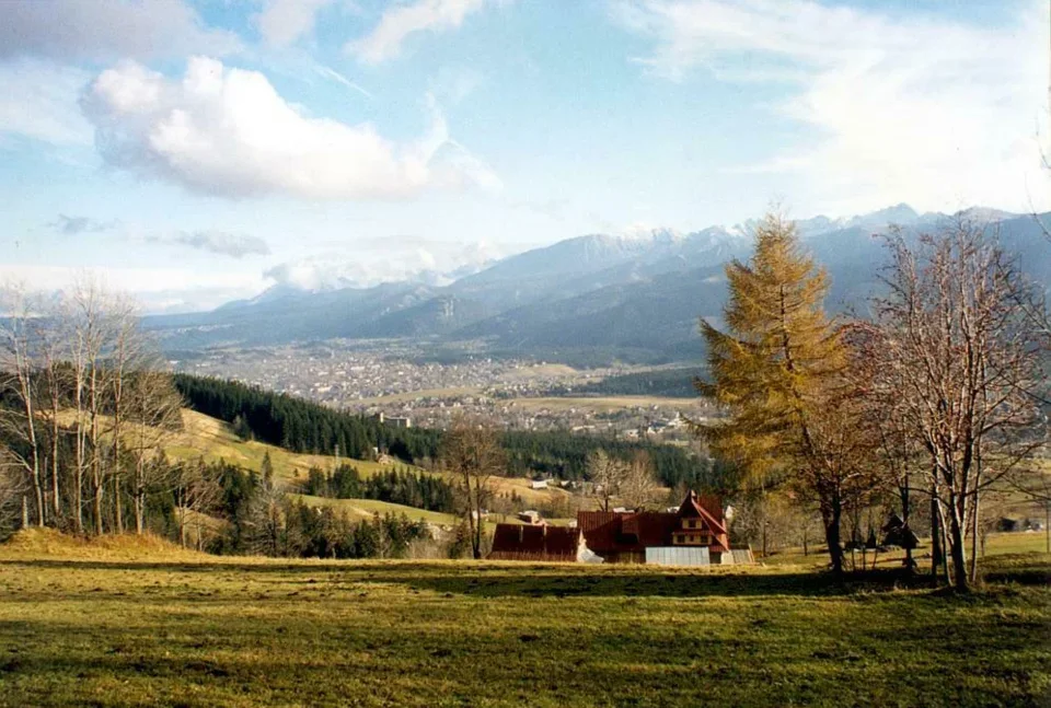 Widoczek