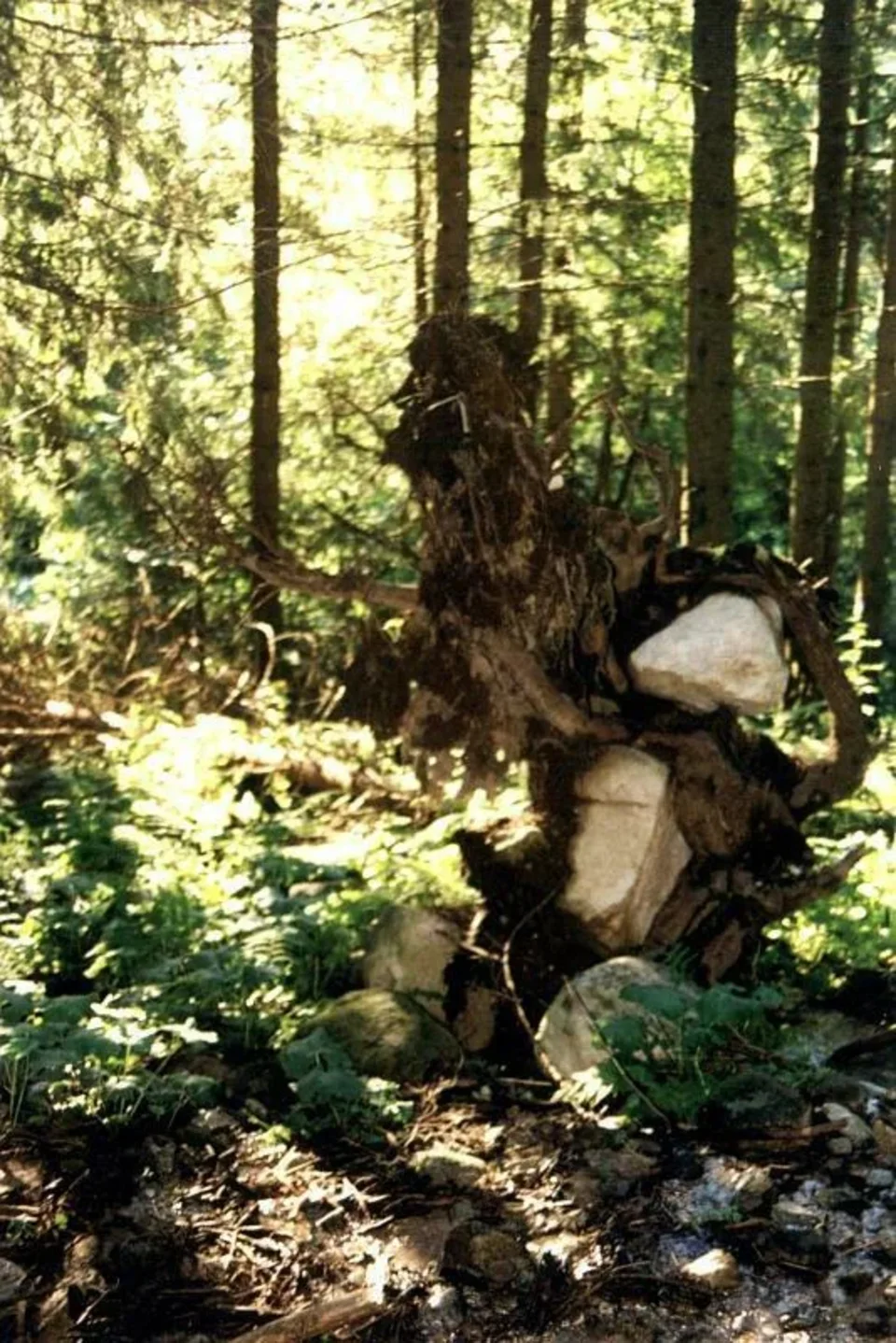 Tragarz kamieni