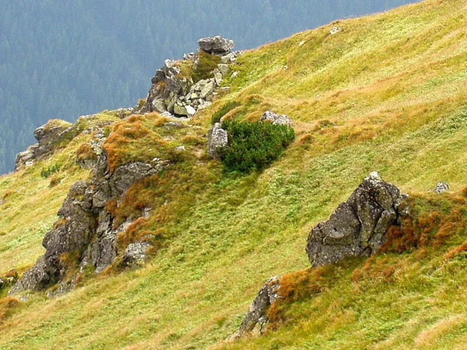 Widok z Kasprowego Wierchu