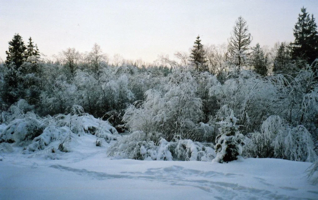 Małe Ciche IV