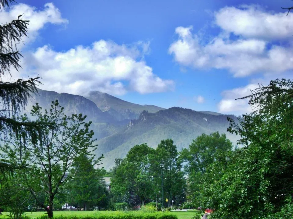 Widok na góry