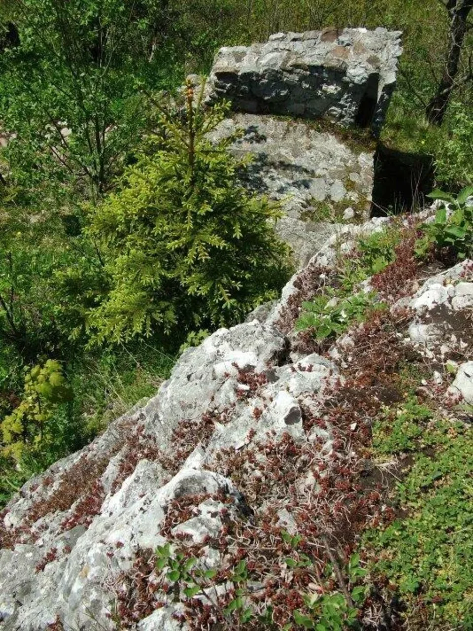 Liptovsky hrad