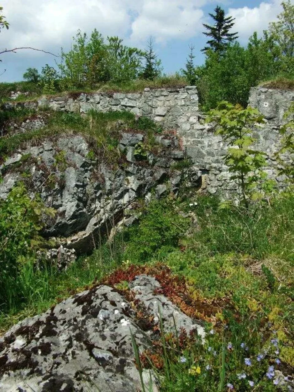 Liptovsky hrad