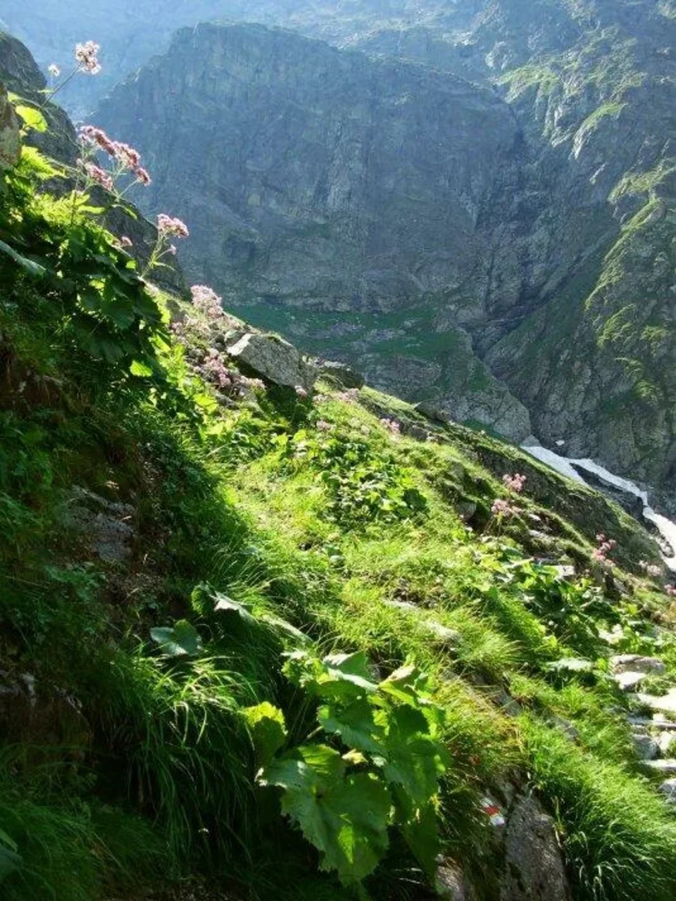 Pod Bolou pod Rysami