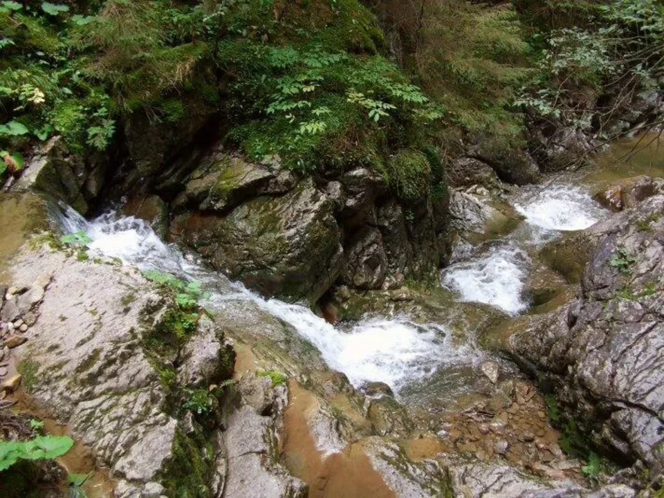 V Raztockej tiesnave