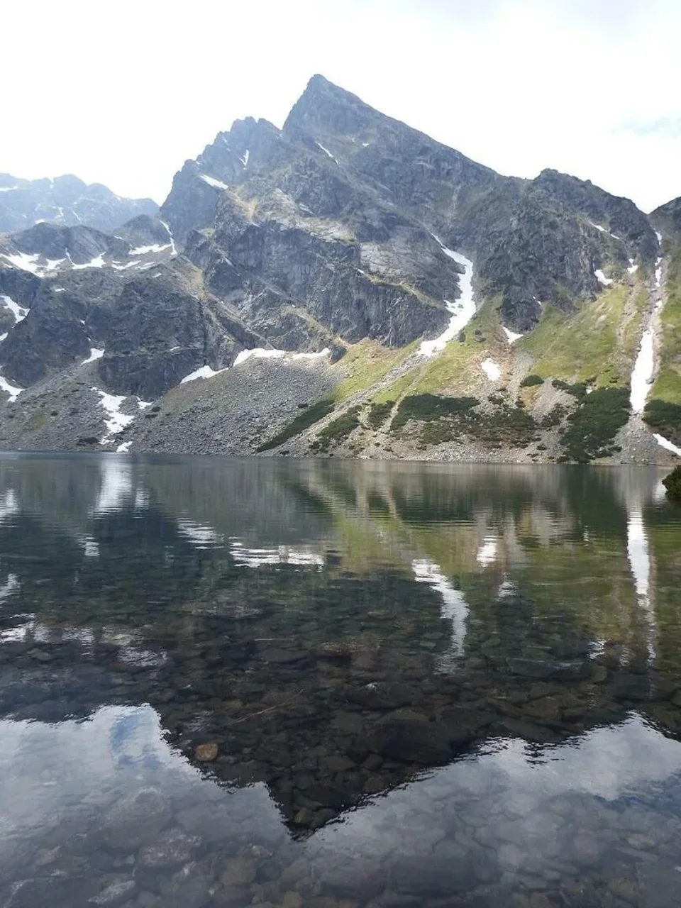 Kościelec