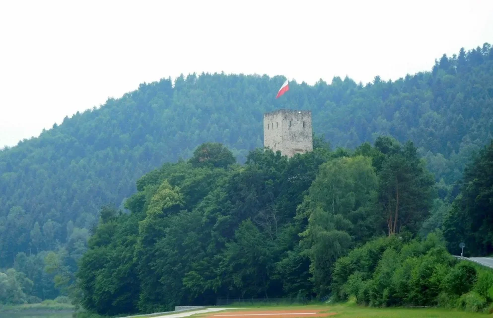 Wytrzyszczka