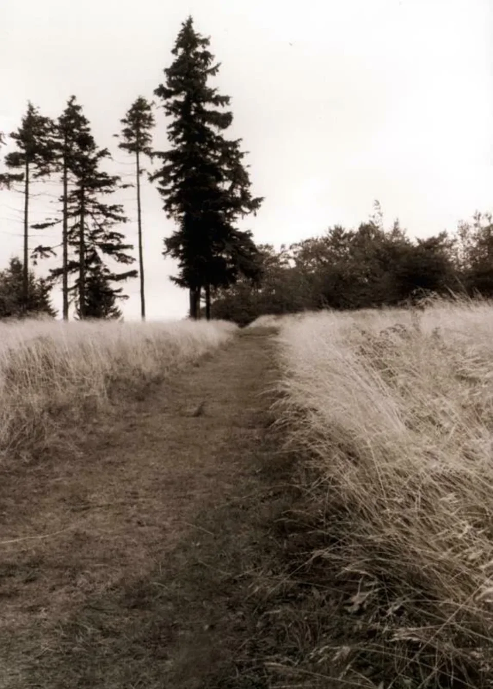 Beskid Sądecki
