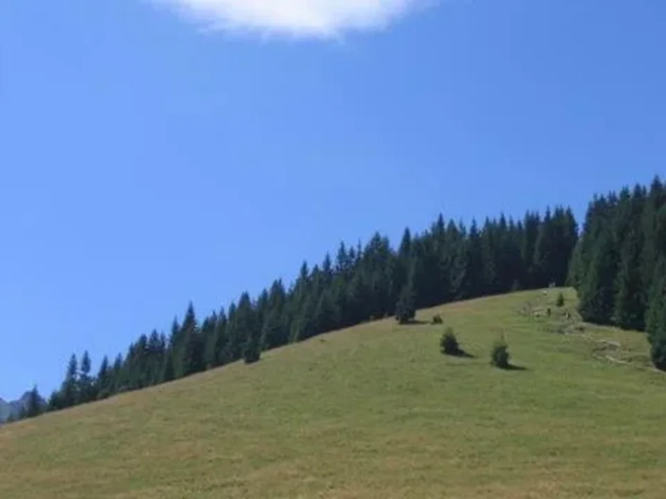 Schodki ku Gęsiej Szyi