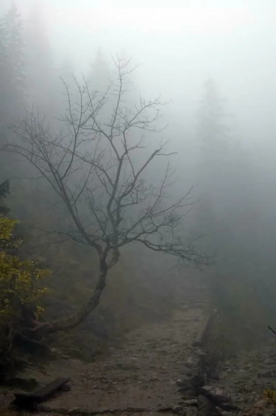 \'Mroczna dolina... Dolina Białego\'