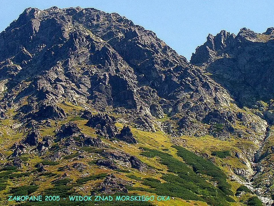 2005