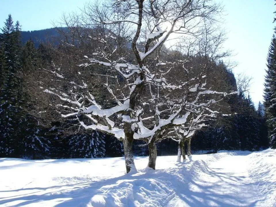 Martwa natura :-)