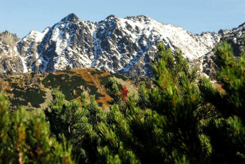 Jesień w Tatrach